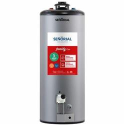 Termotanque Multigas Señorial Family TSZP1-85 gris Bajo consumo 85 L