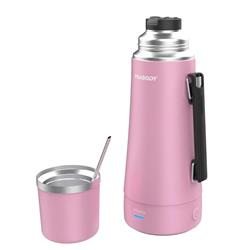 Termo Eléctrico Peabody 1 Litro E-termo Pico Mate + Bombilla Pe-eta1001p Color Rosa
